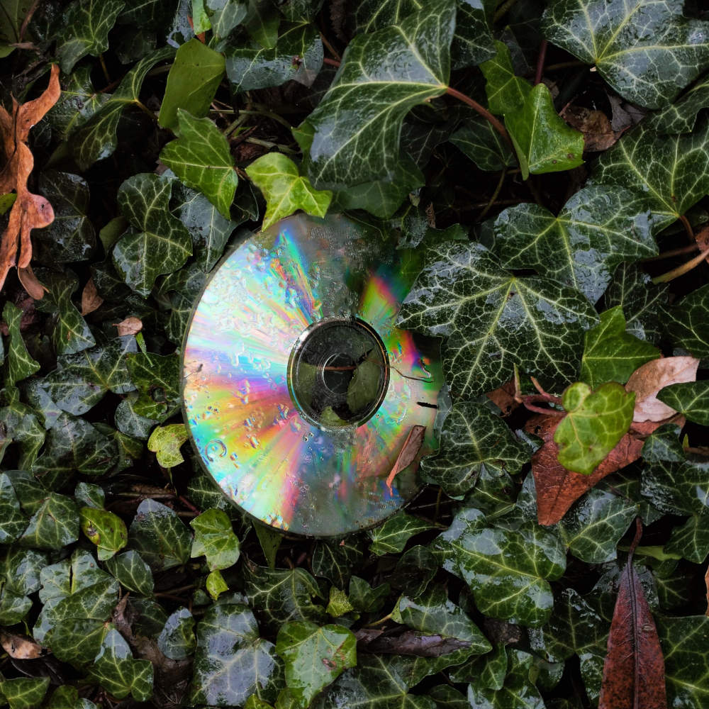CD