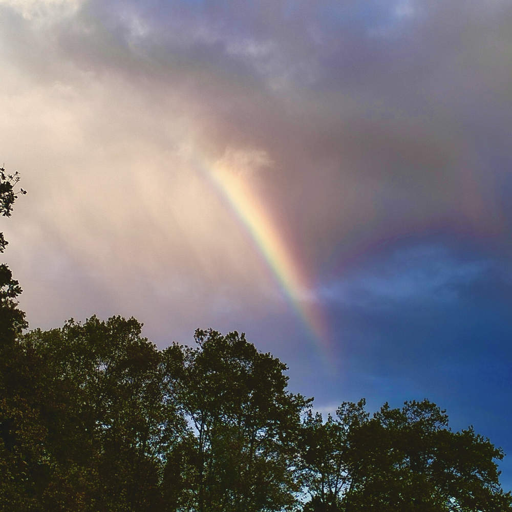 Arc en ciel